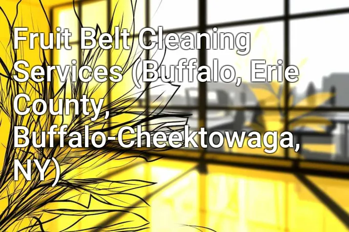 Fruit Belt Cleaning Services (Buffalo, Erie County, Buffalo-Cheektowaga, NY)