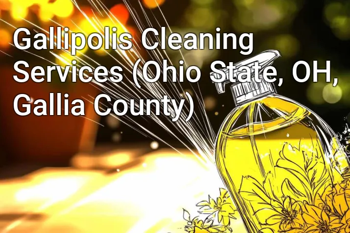 Gallipolis Cleaning Services (Ohio State, OH, Gallia County)