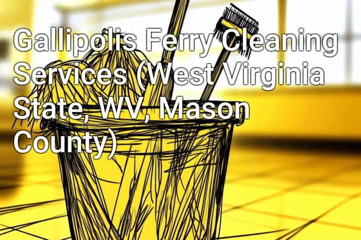 Gallipolis Ferry Cleaning Services (West Virginia State, WV, Mason County)