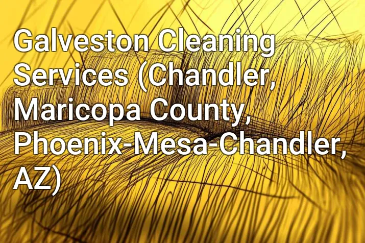 Galveston Cleaning Services (Chandler, Maricopa County, Phoenix-Mesa-Chandler, AZ)