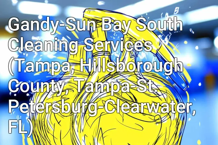 Gandy-Sun Bay South Cleaning Services (Tampa, Hillsborough County, Tampa-St. Petersburg-Clearwater, FL)