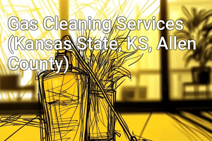 Gas Cleaning Services (Kansas State, KS, Allen County)