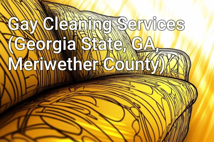 Gay Cleaning Services (Georgia State, GA, Meriwether County)