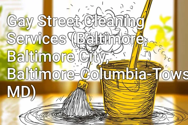 Gay Street Cleaning Services (Baltimore, Baltimore City, Baltimore-Columbia-Towson, MD)