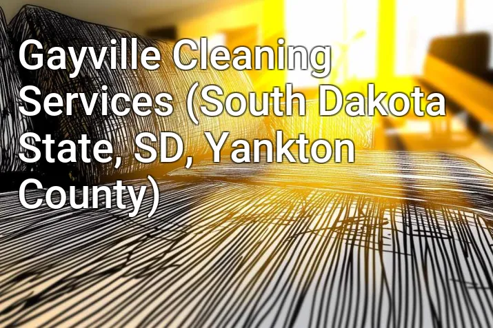 Gayville Cleaning Services (South Dakota State, SD, Yankton County)