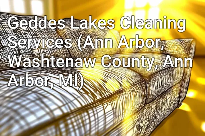 Geddes Lakes Cleaning Services (Ann Arbor, Washtenaw County, Ann Arbor, MI)