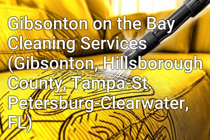 Gibsonton on the Bay Cleaning Services (Gibsonton, Hillsborough County, Tampa-St. Petersburg-Clearwater, FL)