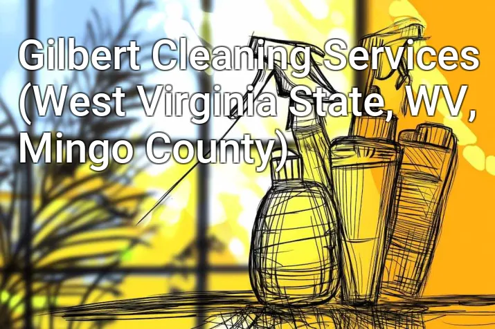 Gilbert Cleaning Services (West Virginia State, WV, Mingo County)