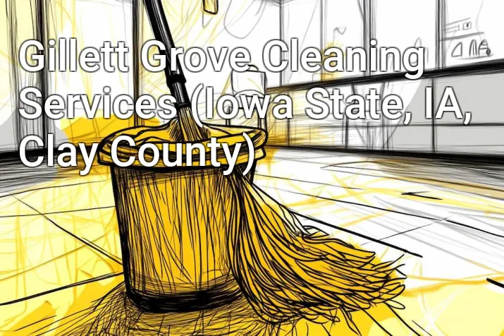 Gillett Grove Cleaning Services (Iowa State, IA, Clay County)