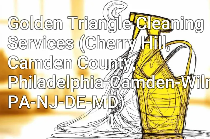 Golden Triangle Cleaning Services (Cherry Hill, Camden County, Philadelphia-Camden-Wilmington, PA-NJ-DE-MD)