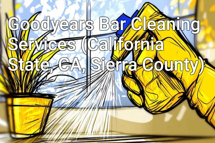 Goodyears Bar Cleaning Services (California State, CA, Sierra County)