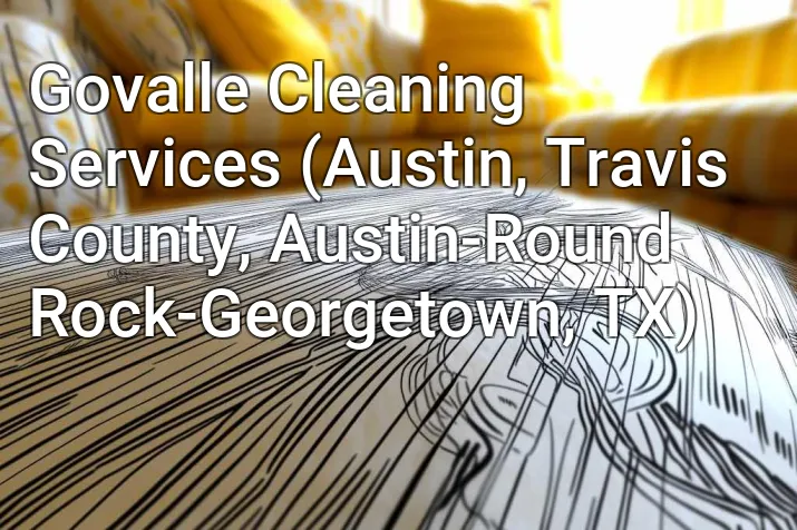 Govalle Cleaning Services (Austin, Travis County, Austin-Round Rock-Georgetown, TX)