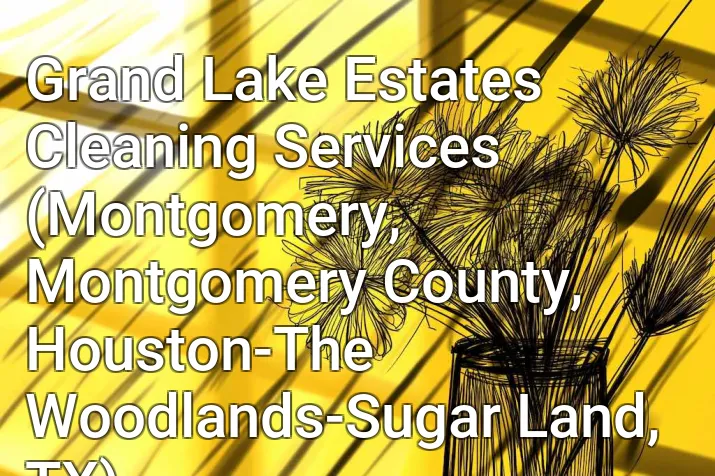 Grand Lake Estates Cleaning Services (Montgomery, Montgomery County, Houston-The Woodlands-Sugar Land, TX)