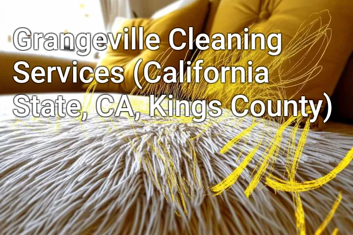Grangeville Cleaning Services (California State, CA, Kings County)