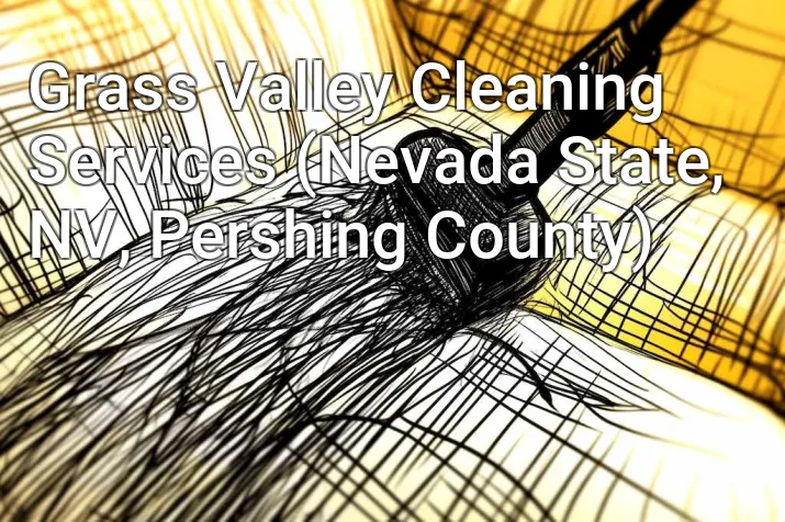 Grass Valley Cleaning Services (Nevada State, NV, Pershing County)