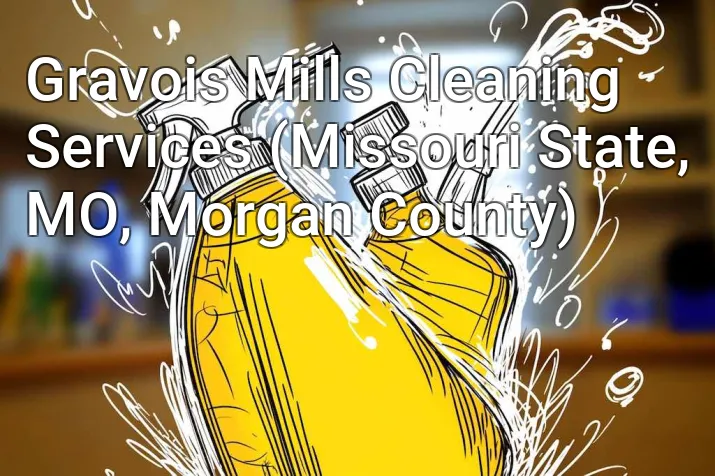 Gravois Mills Cleaning Services (Missouri State, MO, Morgan County)