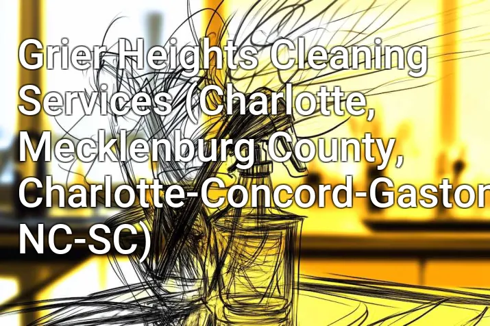 Grier Heights Cleaning Services (Charlotte, Mecklenburg County, Charlotte-Concord-Gastonia, NC-SC)