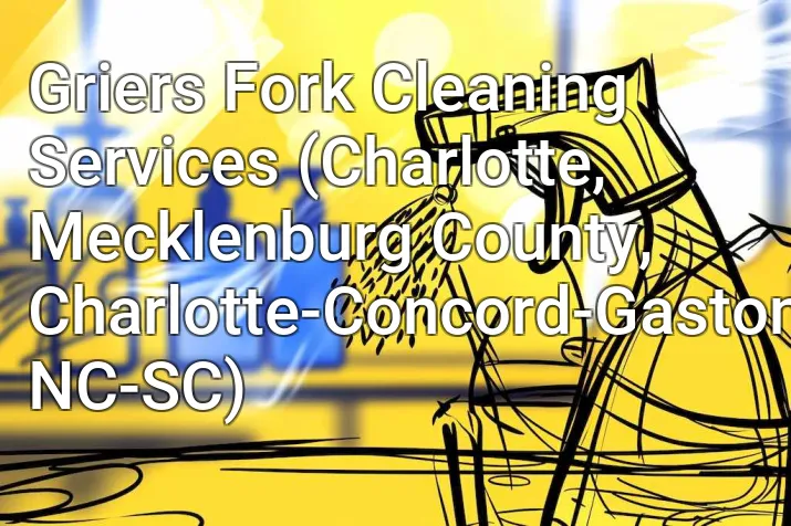 Griers Fork Cleaning Services (Charlotte, Mecklenburg County, Charlotte-Concord-Gastonia, NC-SC)