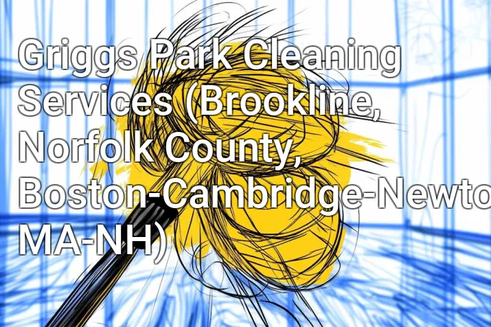 Griggs Park Cleaning Services (Brookline, Norfolk County, Boston-Cambridge-Newton, MA-NH)