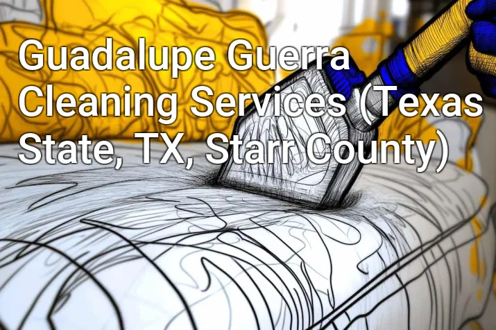 Guadalupe Guerra Cleaning Services (Texas State, TX, Starr County)