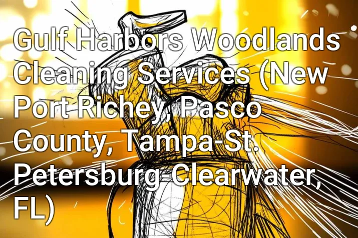 Gulf Harbors Woodlands Cleaning Services (New Port Richey, Pasco County, Tampa-St. Petersburg-Clearwater, FL)