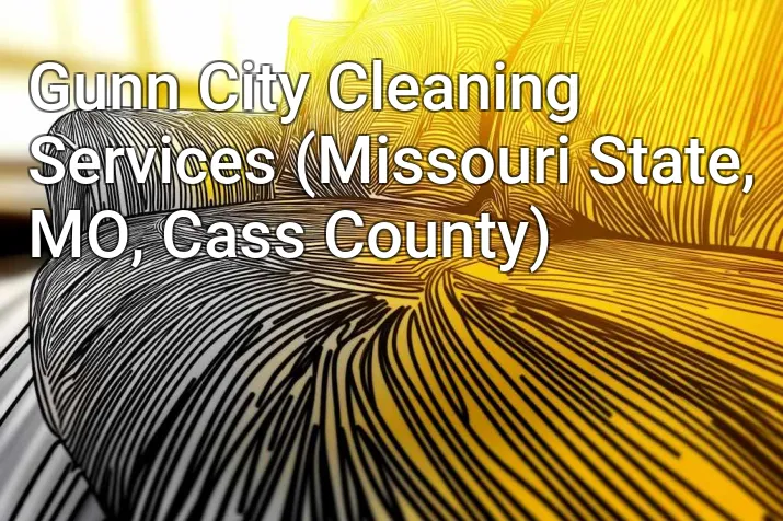 Gunn City Cleaning Services (Missouri State, MO, Cass County)