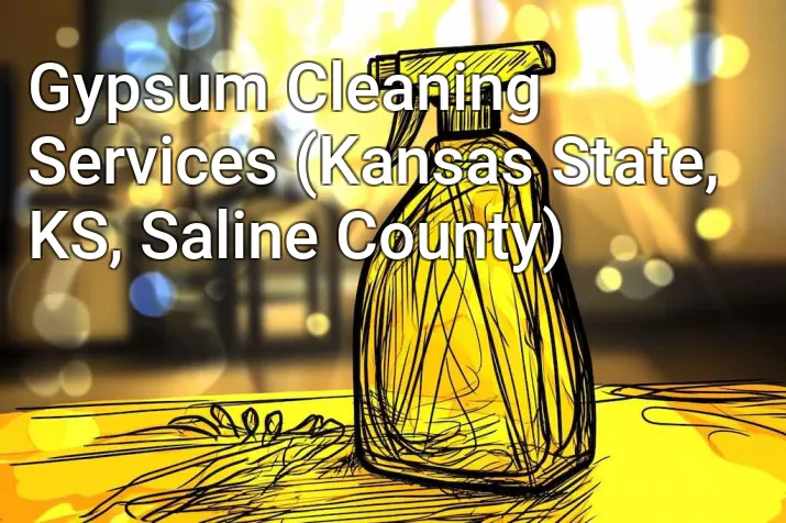 Gypsum Cleaning Services (Kansas State, KS, Saline County)