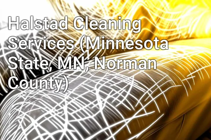 Halstad Cleaning Services (Minnesota State, MN, Norman County)