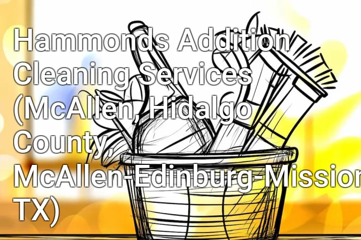 Hammonds Addition Cleaning Services (McAllen, Hidalgo County, McAllen-Edinburg-Mission, TX)