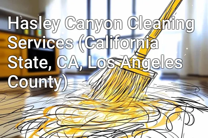 Hasley Canyon Cleaning Services (California State, CA, Los Angeles County)
