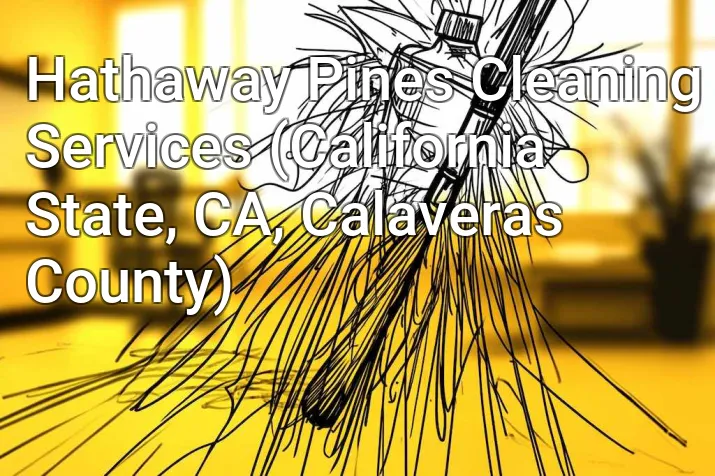 Hathaway Pines Cleaning Services (California State, CA, Calaveras County)