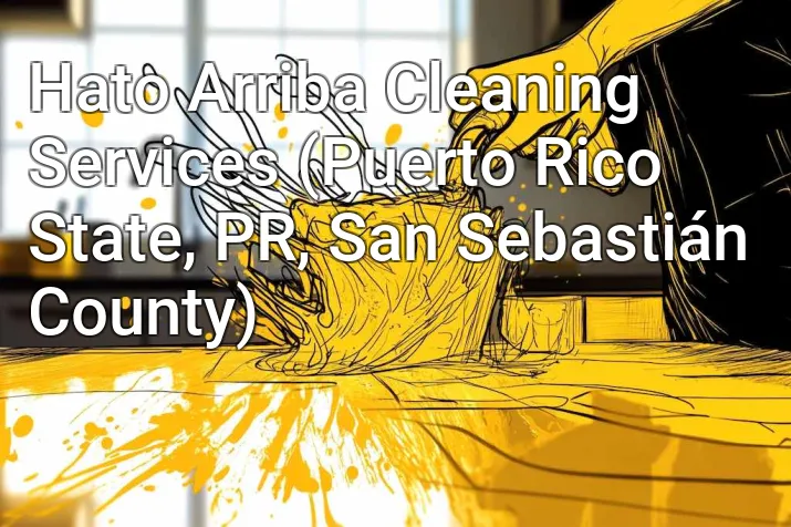 Hato Arriba Cleaning Services (Puerto Rico State, PR, San Sebastián County)