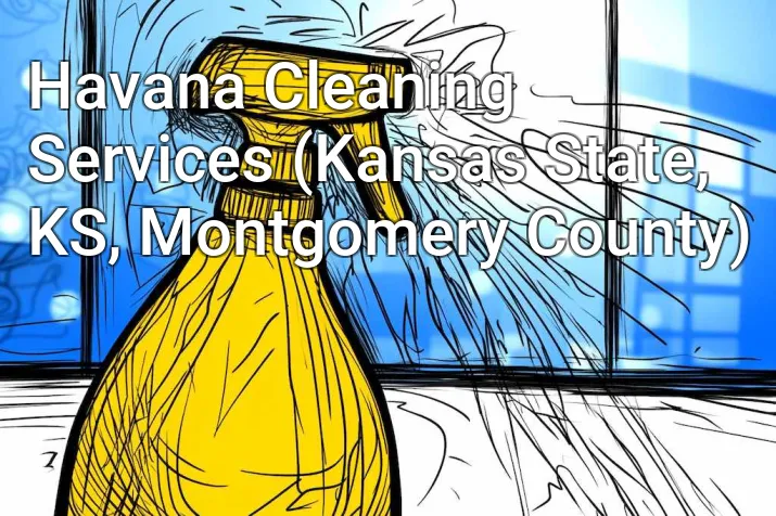 Havana Cleaning Services (Kansas State, KS, Montgomery County)