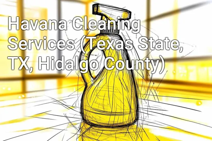 Havana Cleaning Services (Texas State, TX, Hidalgo County)