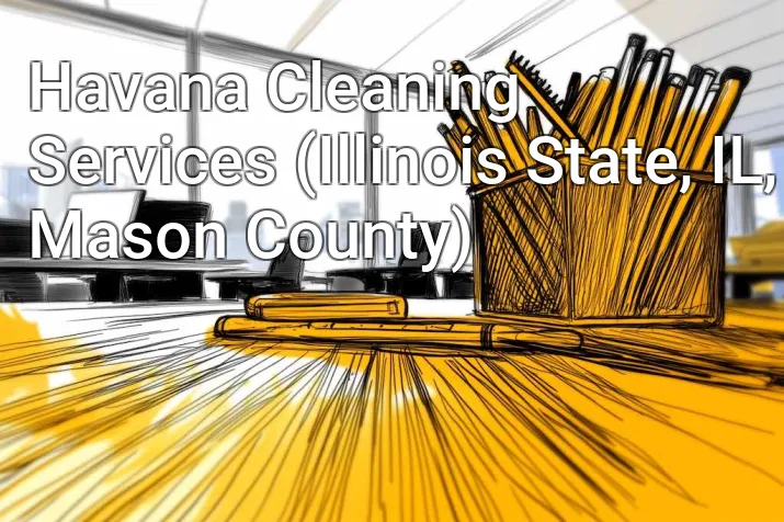 Havana Cleaning Services (Illinois State, IL, Mason County)