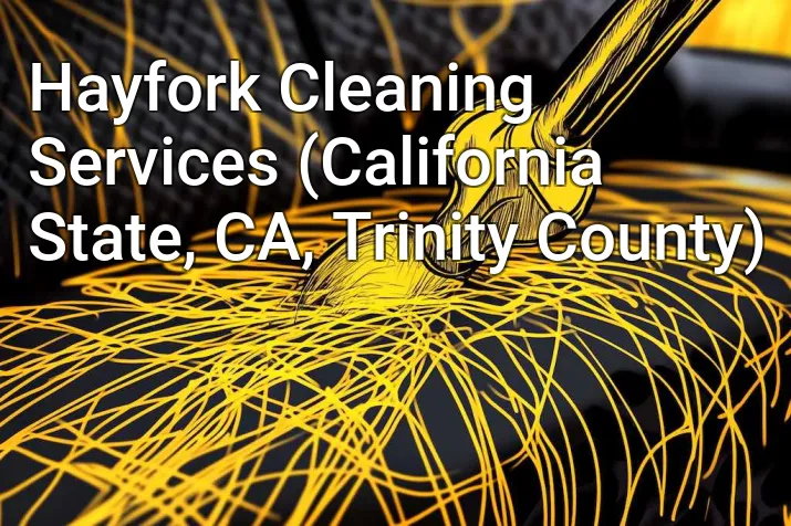 Hayfork Cleaning Services (California State, CA, Trinity County)