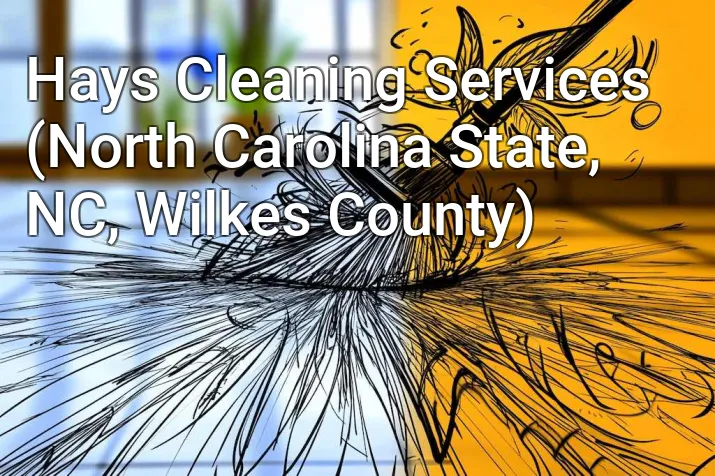 Hays Cleaning Services (North Carolina State, NC, Wilkes County)