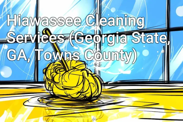 Hiawassee Cleaning Services (Georgia State, GA, Towns County)