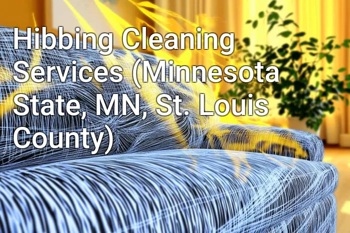 Hibbing Cleaning Services (Minnesota State, MN, St. Louis County)