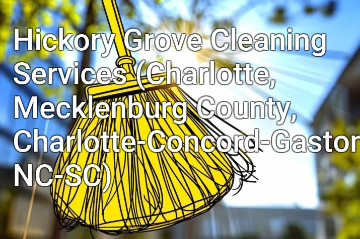 Hickory Grove Cleaning Services (Charlotte, Mecklenburg County, Charlotte-Concord-Gastonia, NC-SC)