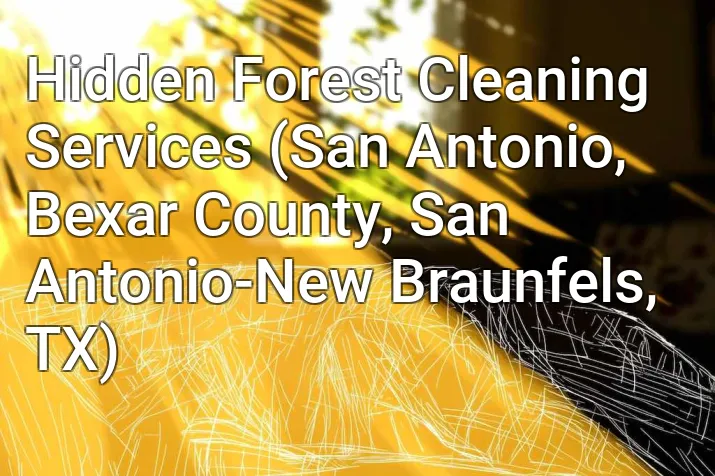 Hidden Forest Cleaning Services (San Antonio, Bexar County, San Antonio-New Braunfels, TX)