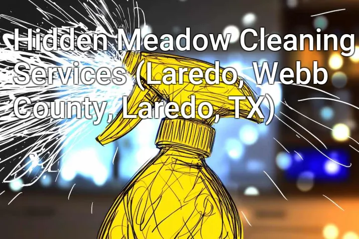 Hidden Meadow Cleaning Services (Laredo, Webb County, Laredo, TX)