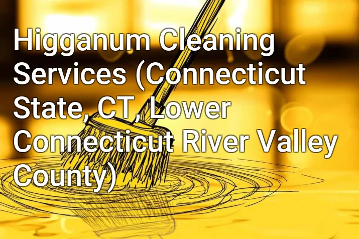 Higganum Cleaning Services (Connecticut State, CT, Lower Connecticut River Valley County)