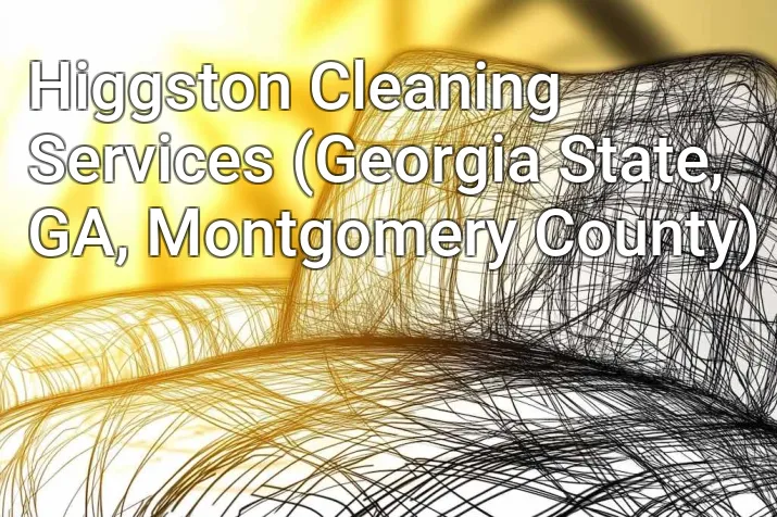 Higgston Cleaning Services (Georgia State, GA, Montgomery County)