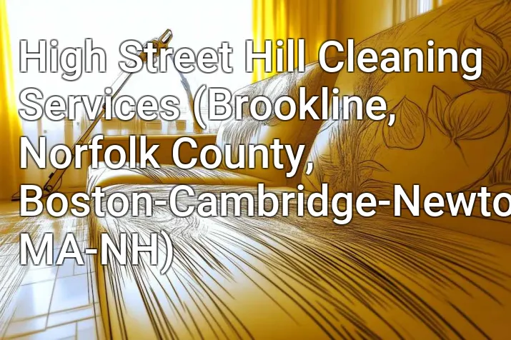 High Street Hill Cleaning Services (Brookline, Norfolk County, Boston-Cambridge-Newton, MA-NH)