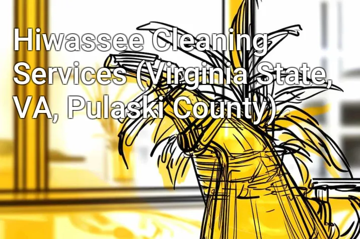 Hiwassee Cleaning Services (Virginia State, VA, Pulaski County)