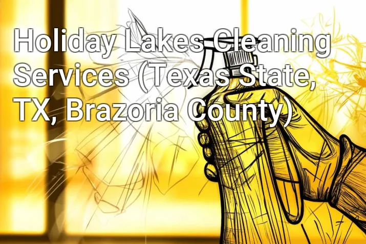 Holiday Lakes Cleaning Services (Texas State, TX, Brazoria County)