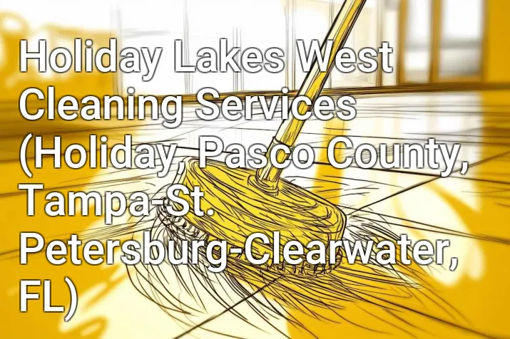 Holiday Lakes West Cleaning Services (Holiday, Pasco County, Tampa-St. Petersburg-Clearwater, FL)