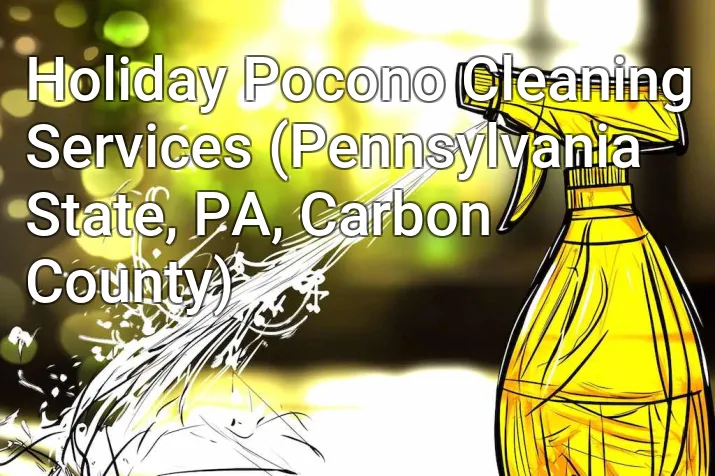 Holiday Pocono Cleaning Services (Pennsylvania State, PA, Carbon County)