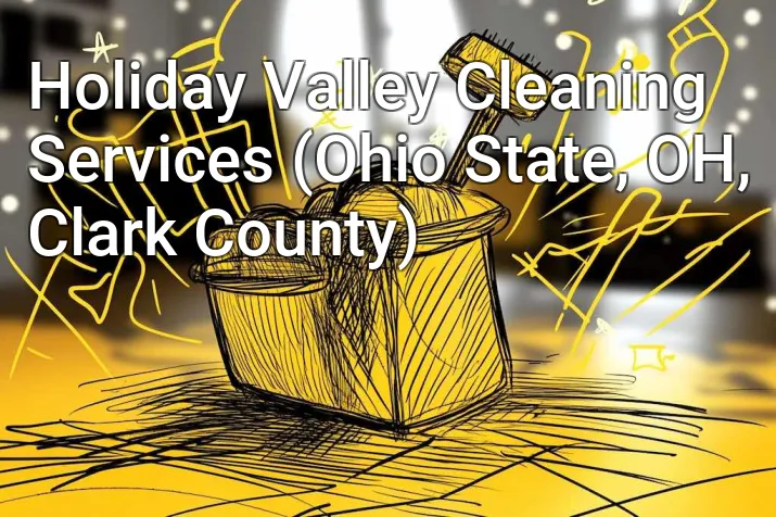Holiday Valley Cleaning Services (Ohio State, OH, Clark County)